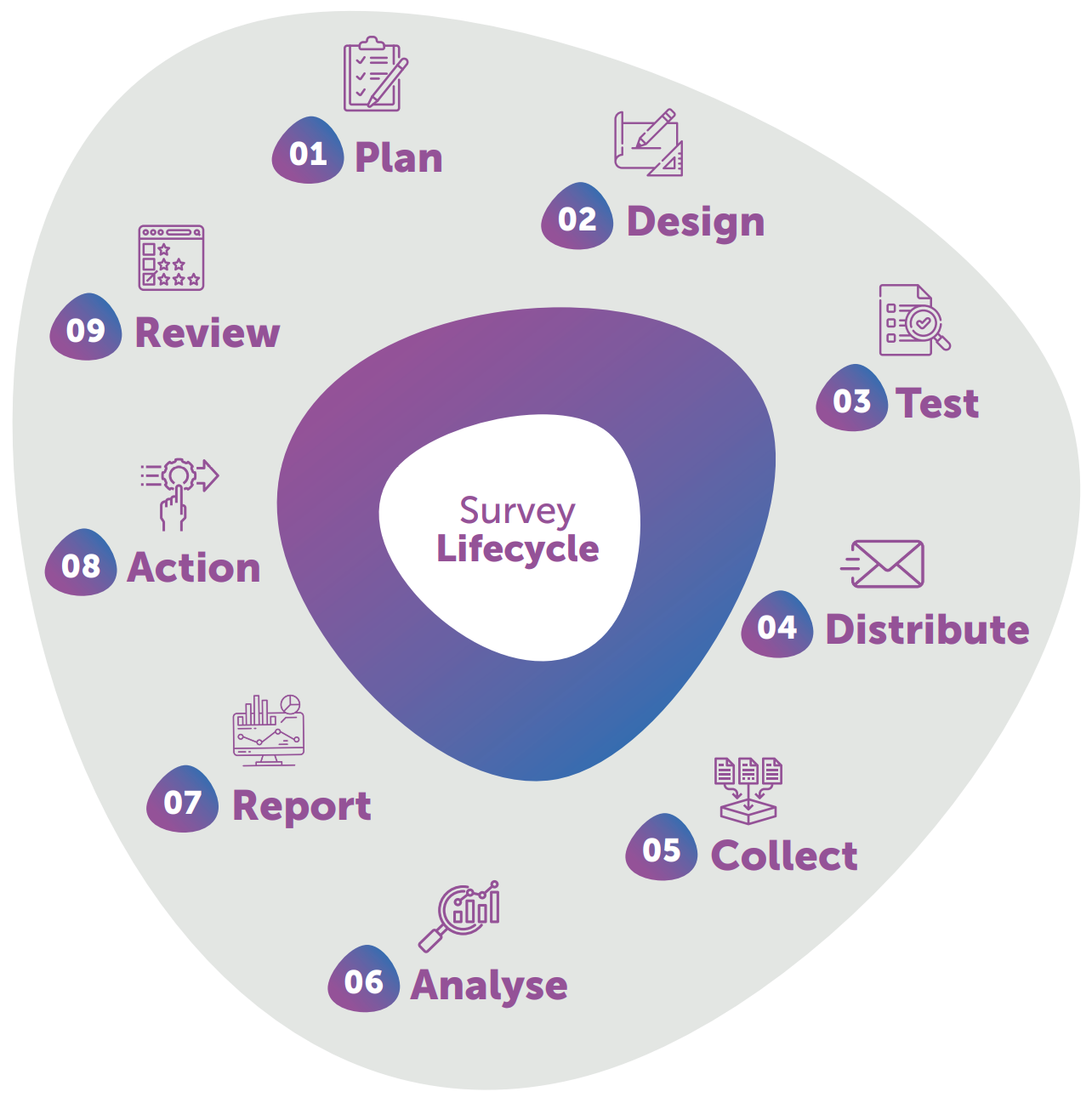 The survey lifecycle